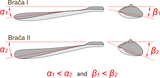 Braca II Adjustable Paddle